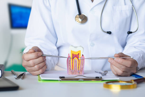 Best Emergency Root Canal Therapy in South Vacherie, LA